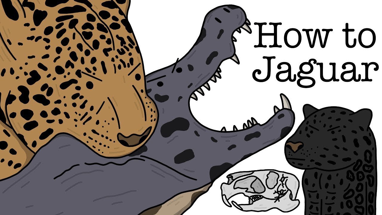 Your Life as a Jaguar