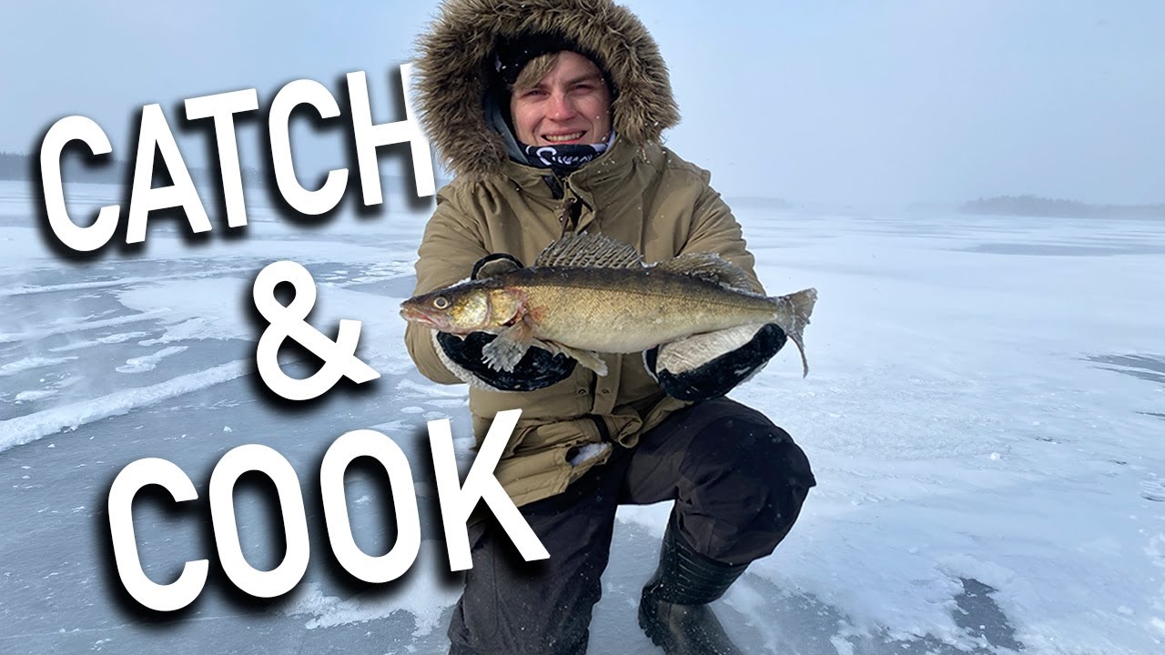 SY&Ouml;D&Auml;&Auml;N MIT&Auml; SAADAAN 🐟 FT. BOHEEMI