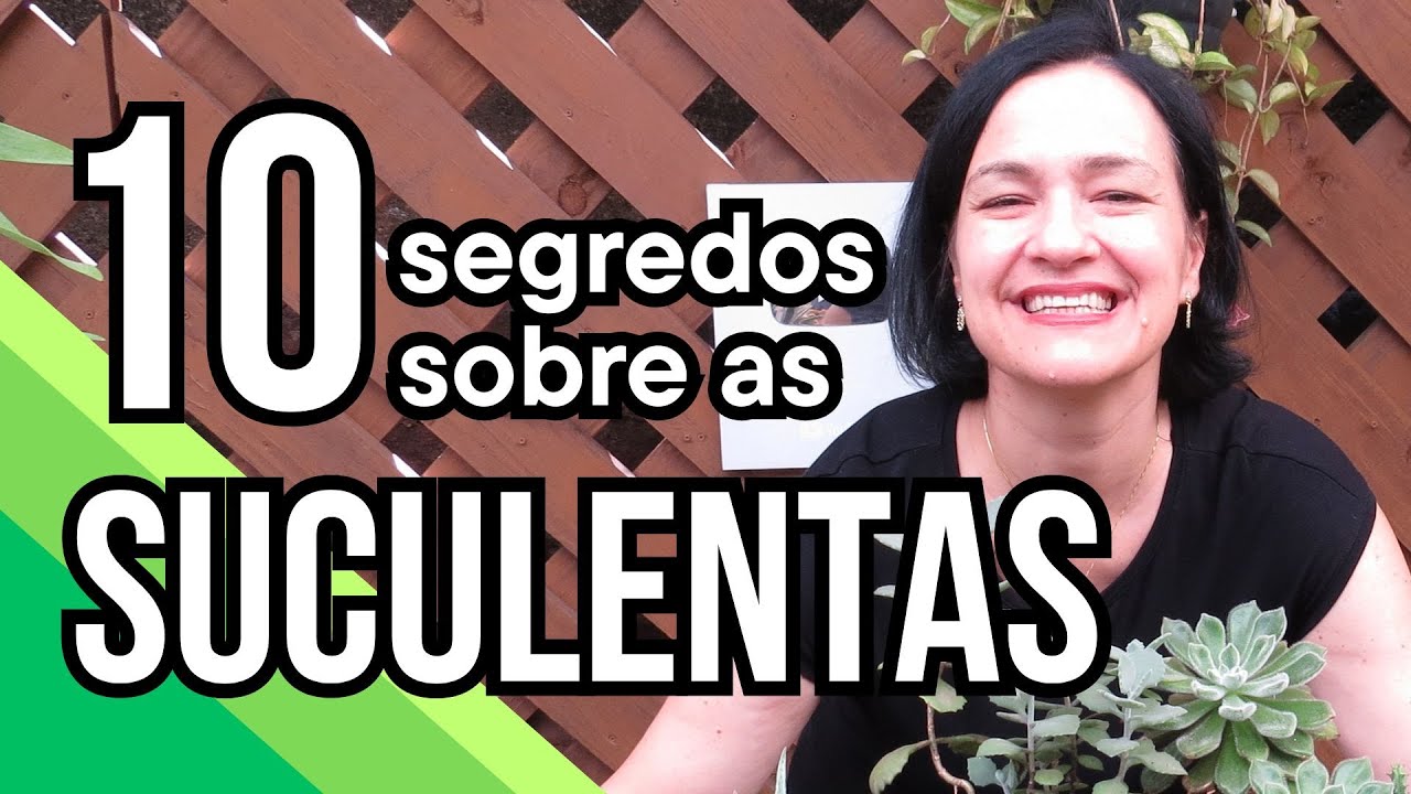 10 SEGREDOS sobre o cultivo das SUCULENTAS