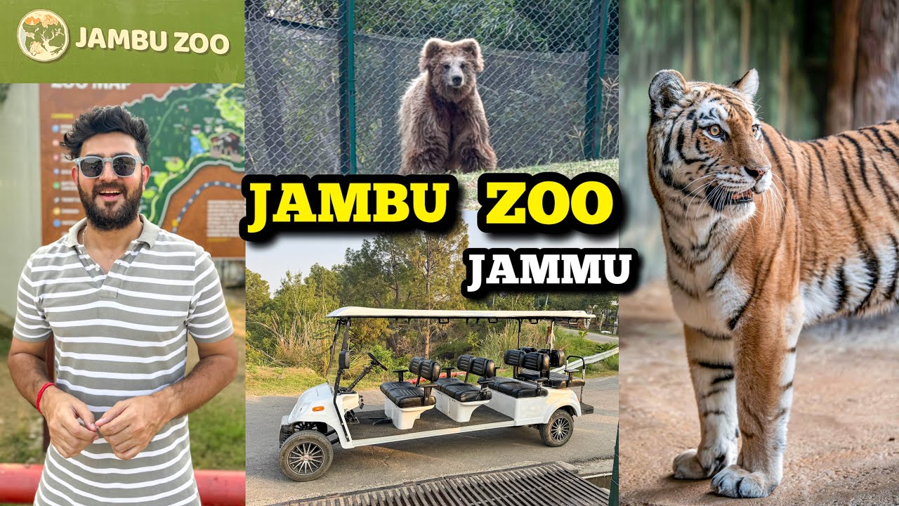 JAMBU ZOO JAMMU | Largest Zoo of North India | Tiger, Lion, Leopards, Bears & Crocodiles 2025 
