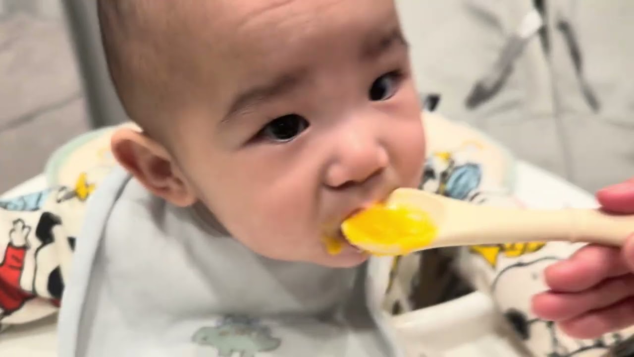 生後7ヶ月双子の日常#4 僕たちのご飯は？？