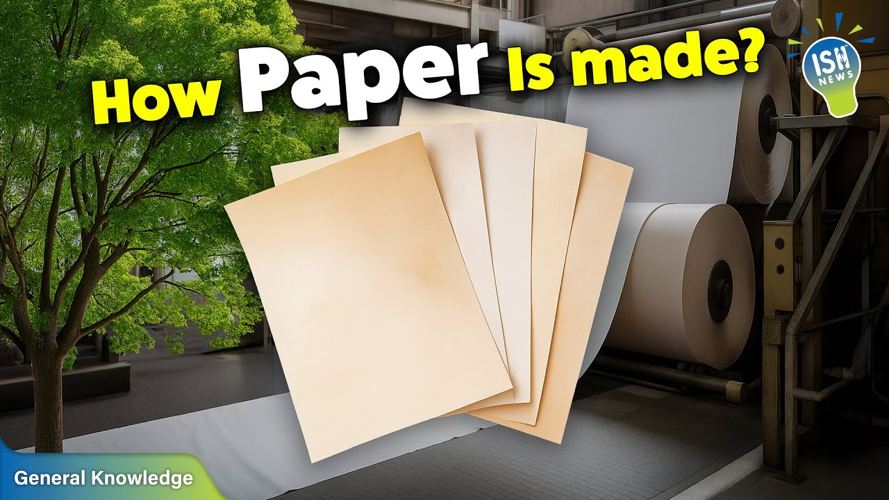 How is Paper Really Made? | ISH News