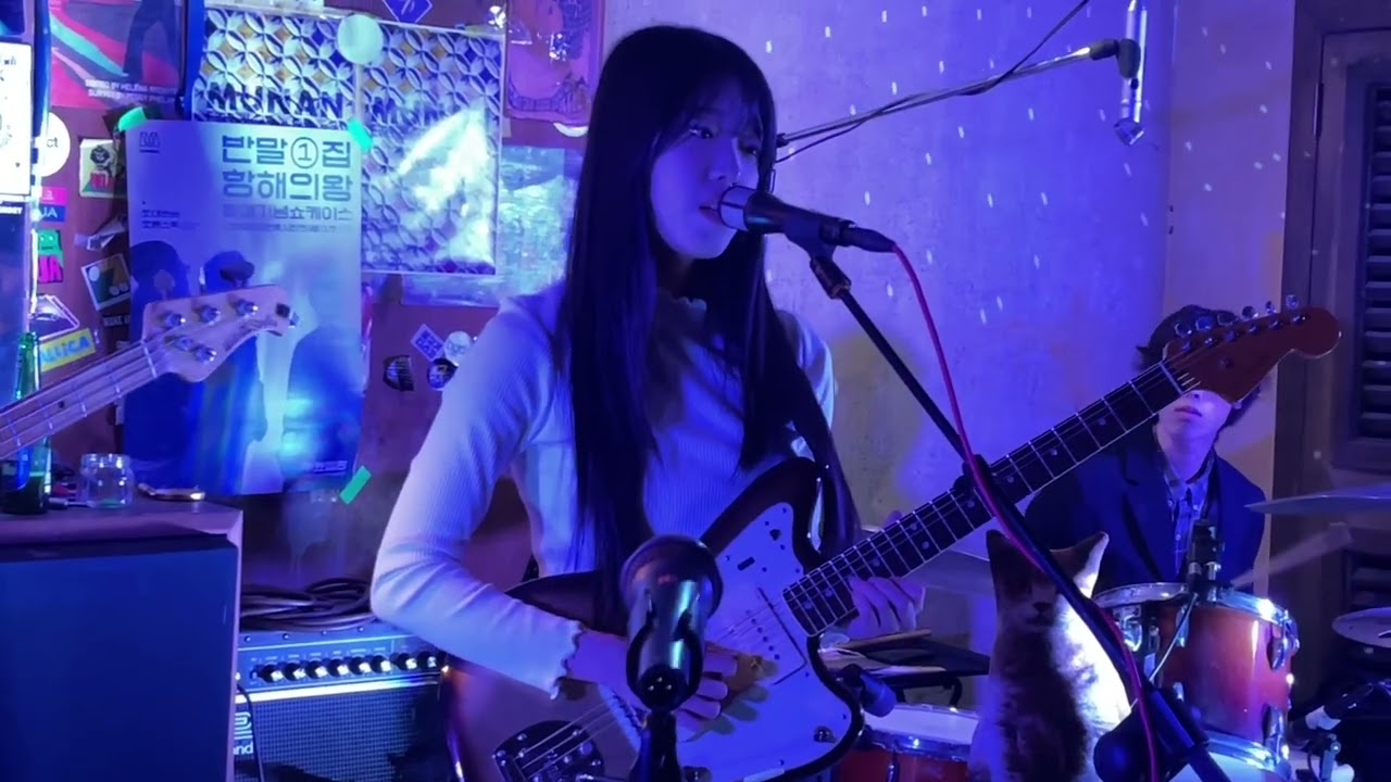 251230 디지먼지 (dizzymunzzy) - 16senti 하연우 focus @스트레인지프룻