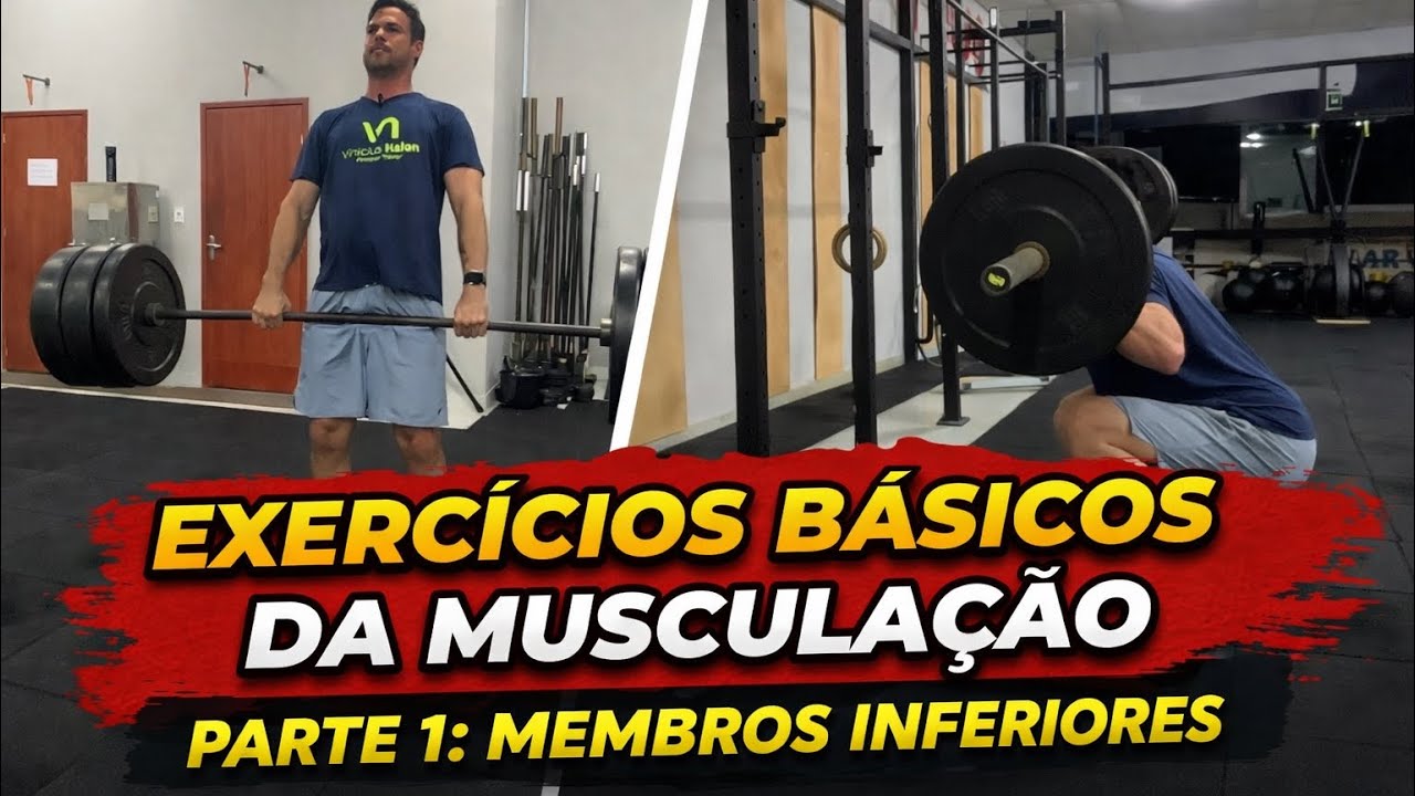 Exercícios Básicos da musculação: Membros Inferiores.
