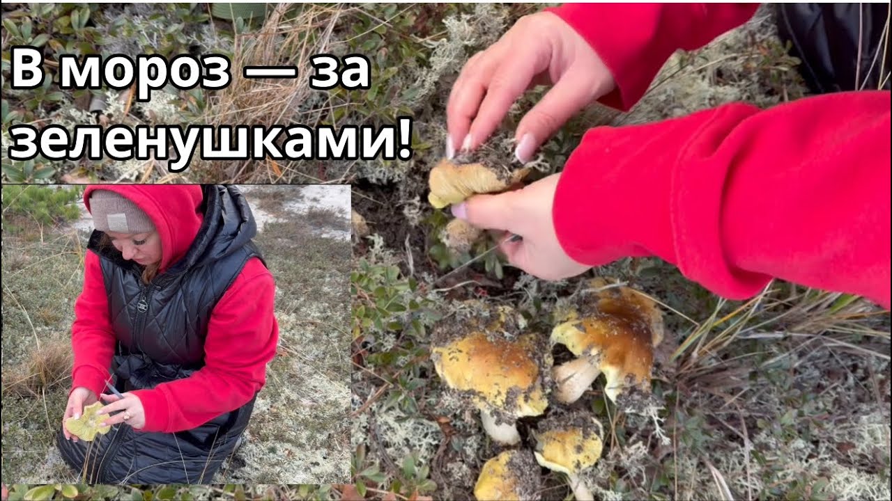 Пока все дома под одеялом, мы с мамой в лес по грибы! 