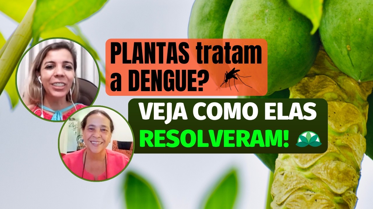 Plantas podem tratar a dengue? Veja como elas resolveram o problema!