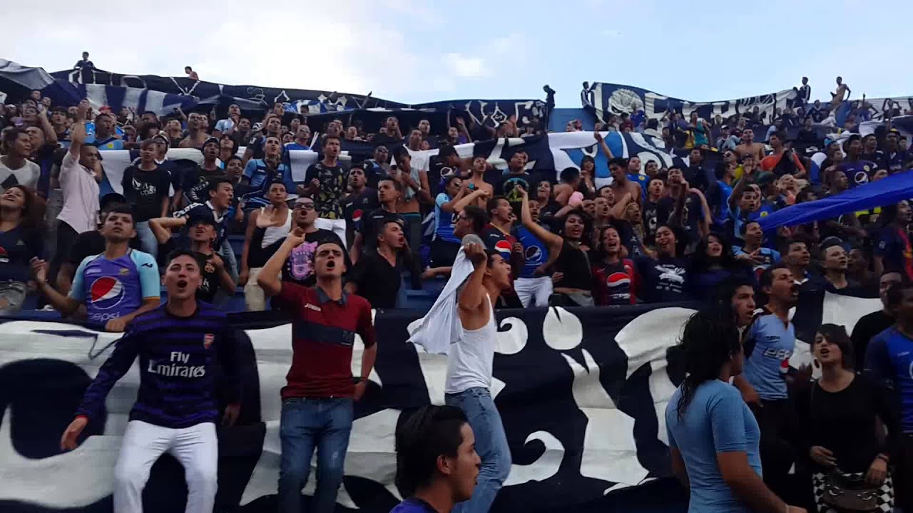 La revo. En el tablon _ contra los perros