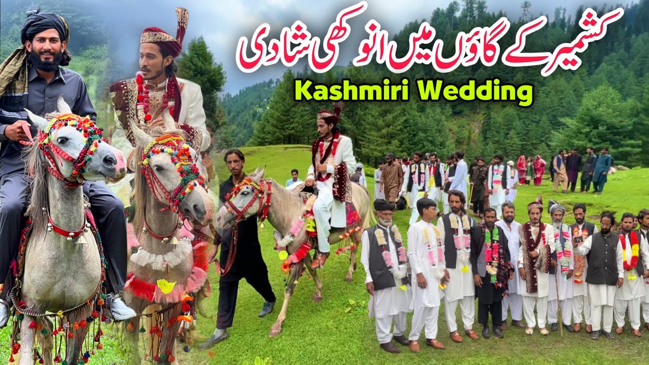 😱 oldest Cultural Wedding in Kashmir Village | Baraat on Horses | Dholi