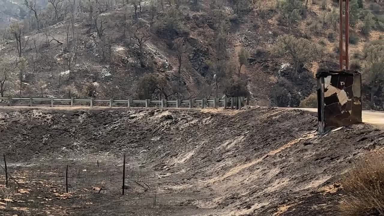 Rock Front Ranch loses bees, trees in Gifford Fire