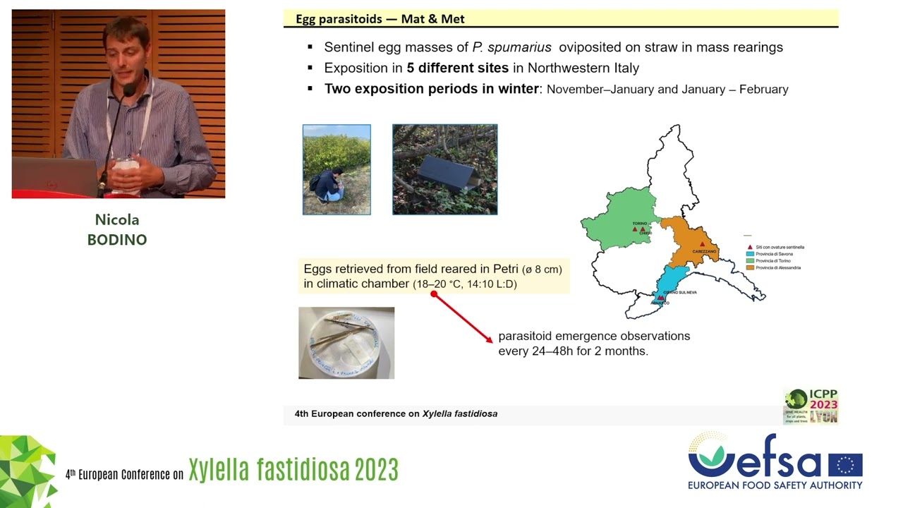 SESSION 3 - Xylella fastidiosa vectors biology