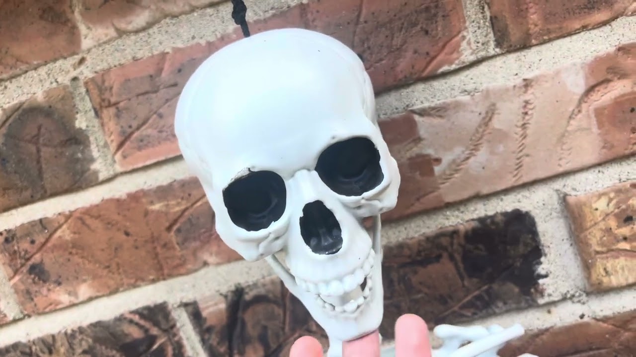 Skeleton podcast part 1 
