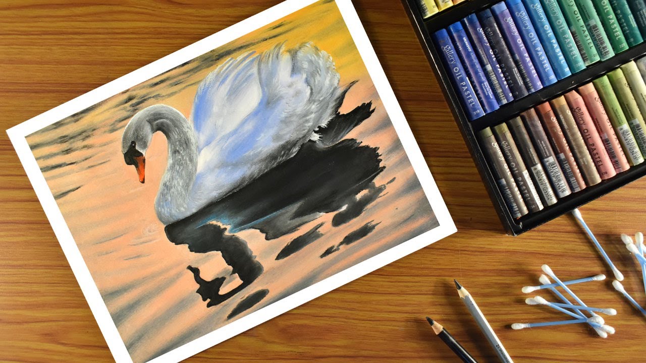 Oil pastel Drawing / oil pastel swan with water reflection / Step by step swan drawing for beginners