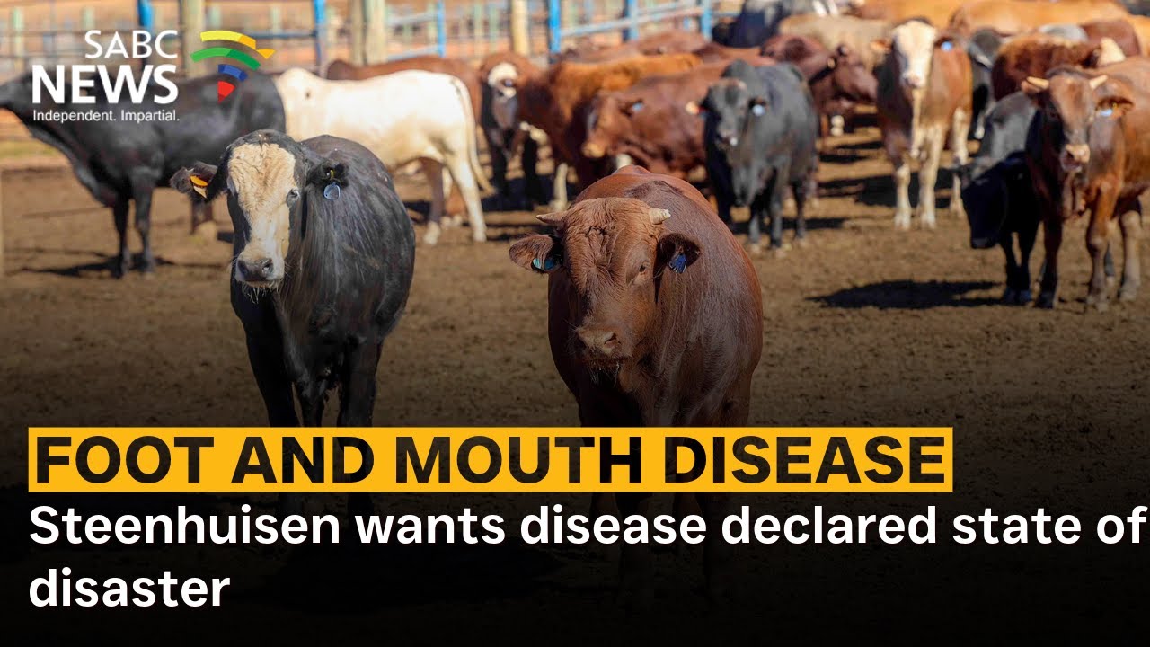 Steenhuisen wants disease declared state of disaster: Jan De Villiers and Dr Dirk Verwoerd