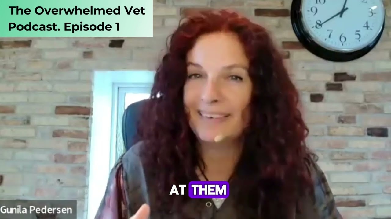 The Overwhelmed Vet Podcast Episode 1