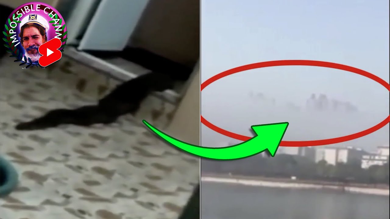 Snake like Creature and Sky Phenomena Caught On Camera