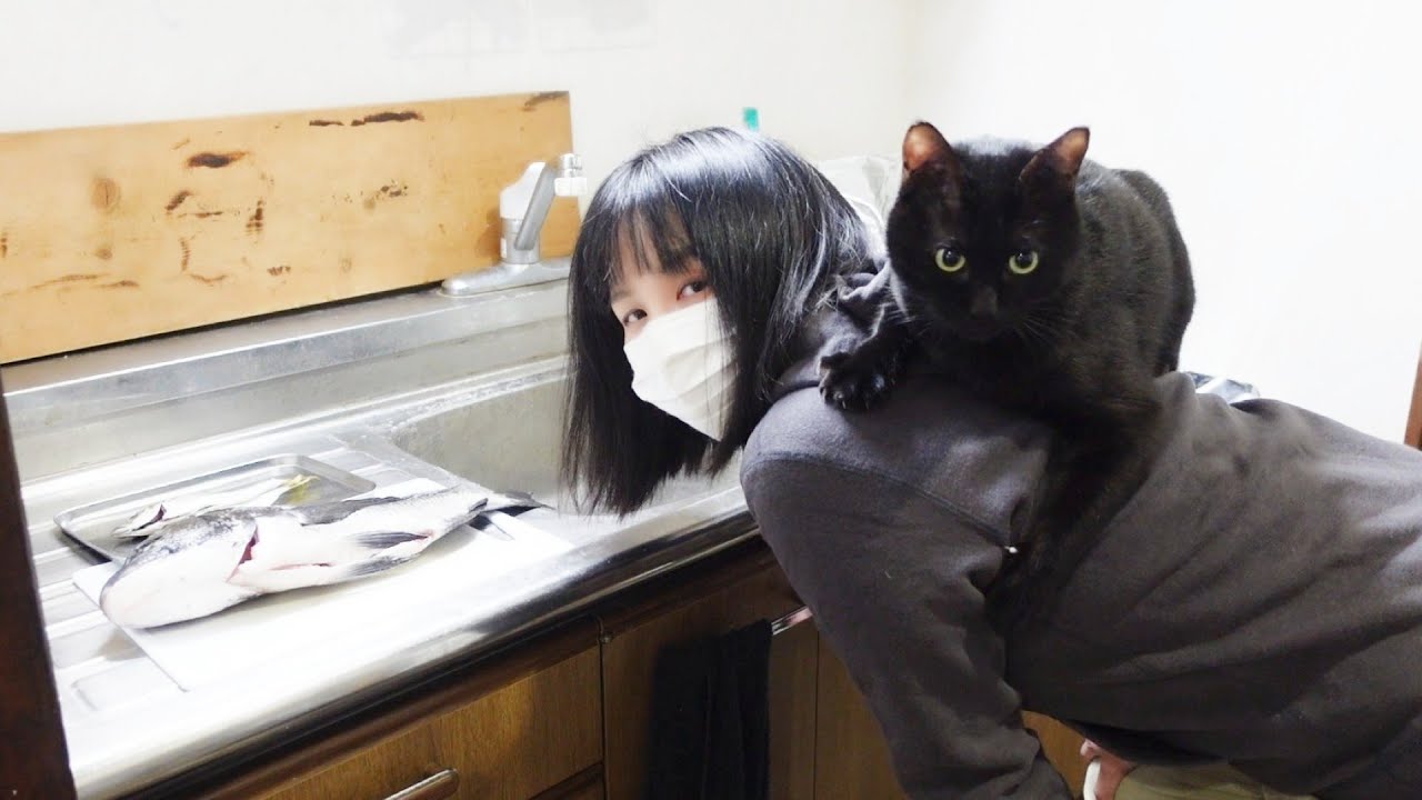 釣れた大物をみんなで食べる！人間に文句を言う猫！
