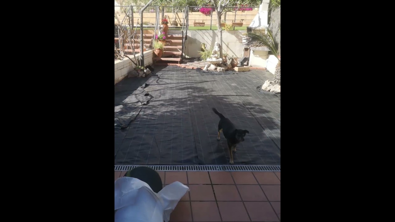 Renueva tu patio con C&eacute;sped Artificial. #cesped #cespedartificial #antesydespues #reformas