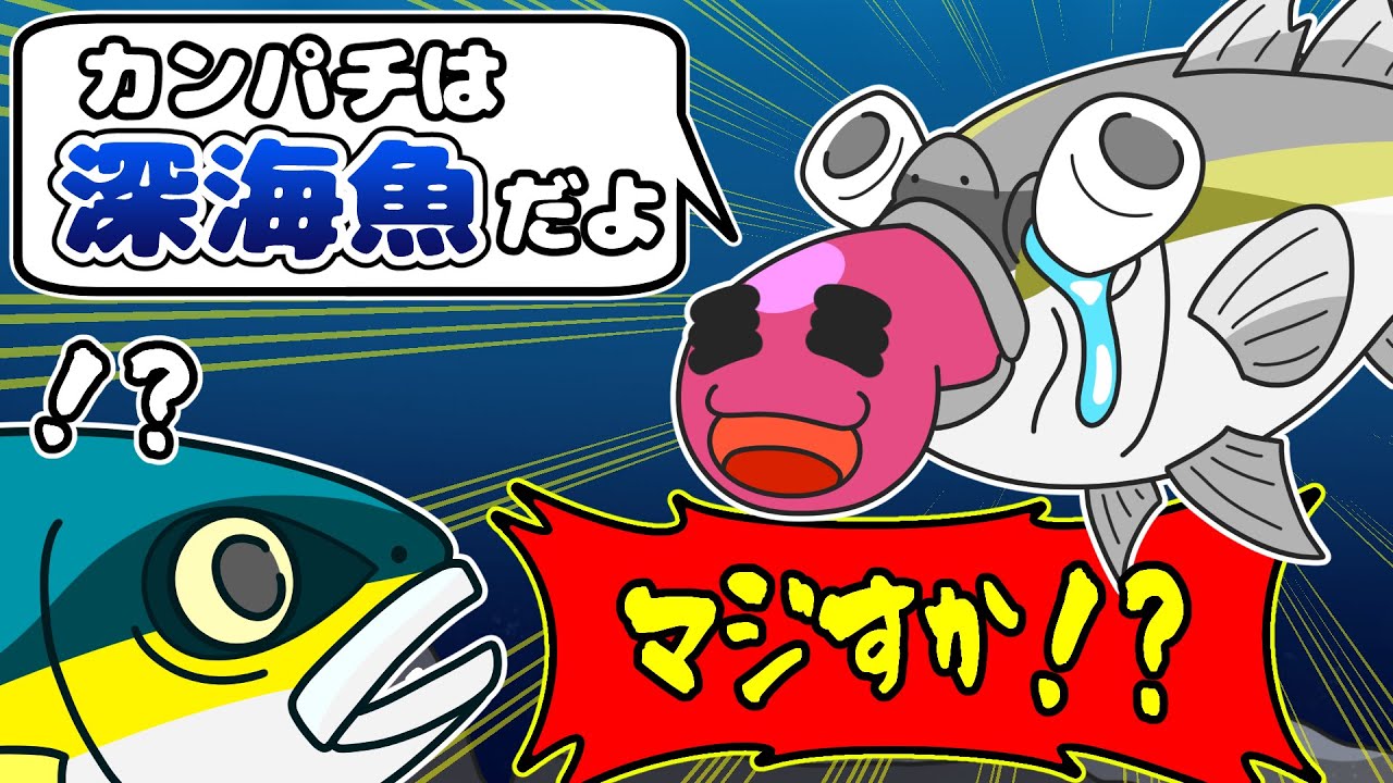 【アニメ】意外⁉︎ブリの仲間のカンパチが深海魚だった件