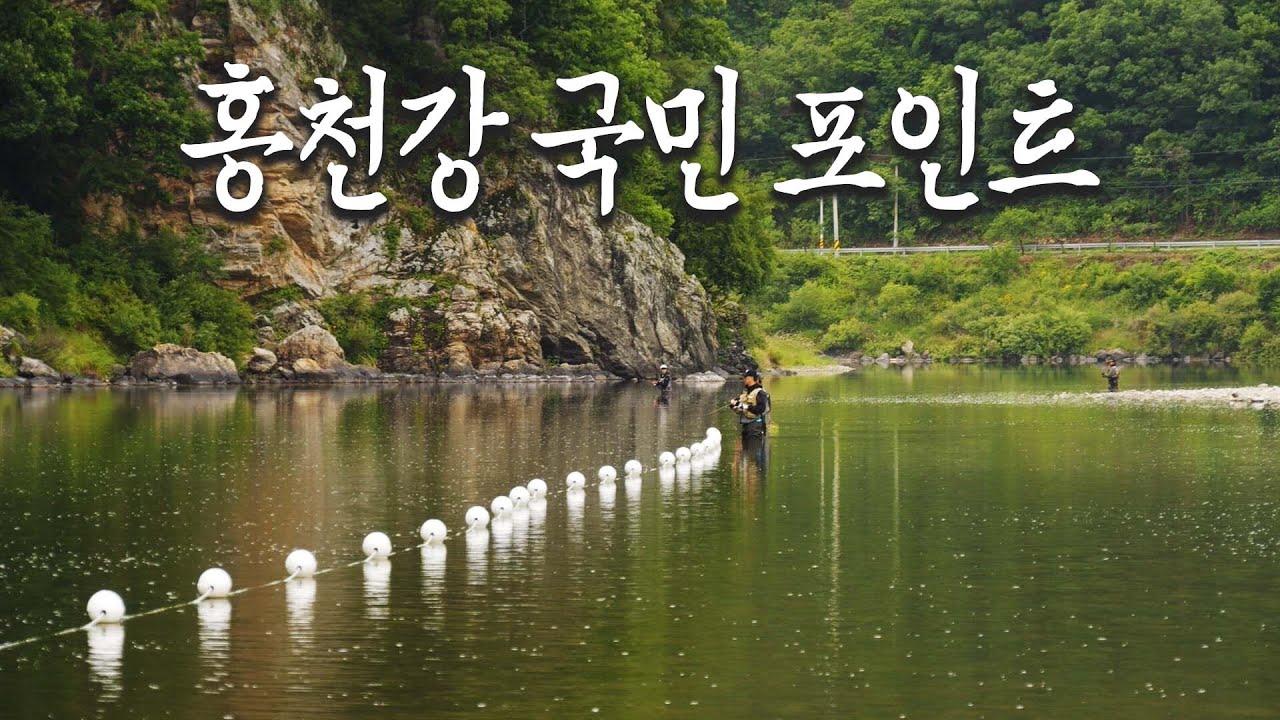 홍천강 쏘가리를 만나러 국민 포인트로... 왜 하필 지금 비가..._[한반도쏘가리2_04편]