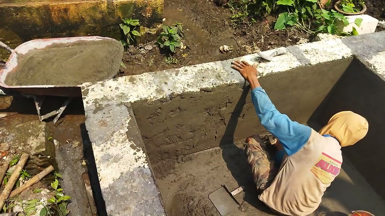 Proses pemlesteran dinding kolam ikan #ikan #lele #petanilele #pemula 