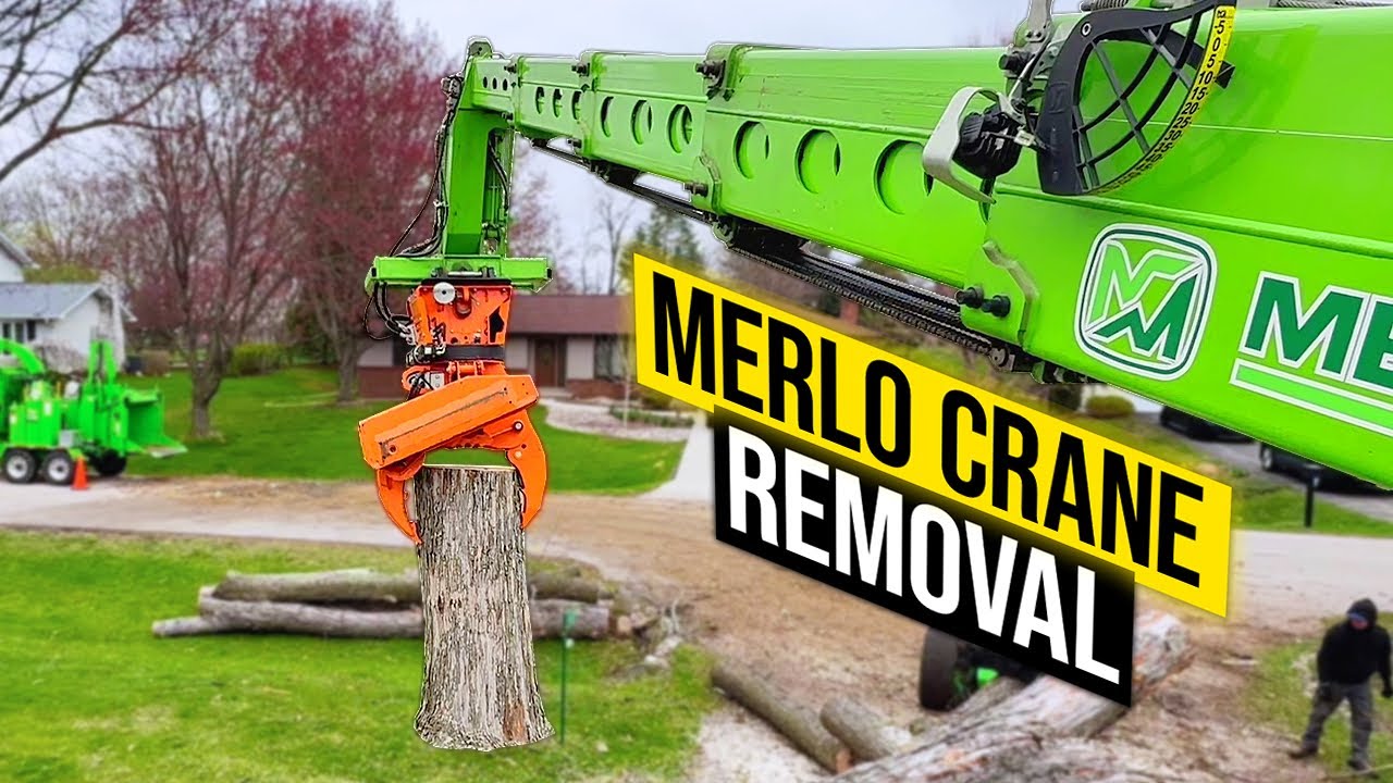 3 Man Merlo Day (Dream Team)