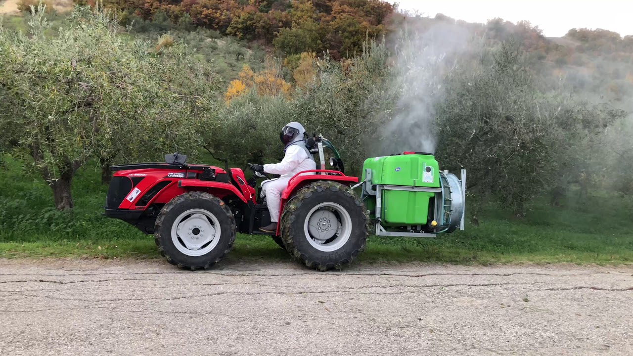 Antonio Carraro TC5800F trattamento olive #italy #agricoltura #tractor #videoviral