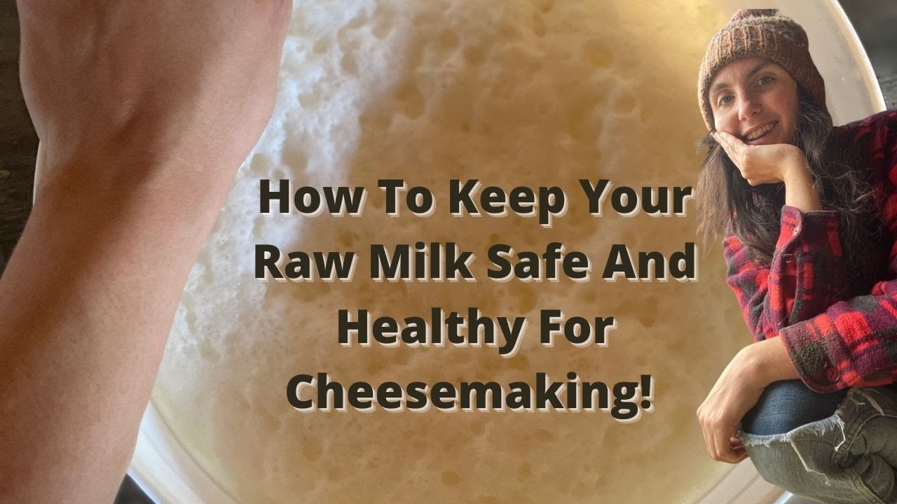 Doing These Things Will Make Your RAW MILK Last WAY Longer! Learn How To Keep Your Raw Milk Clean!
