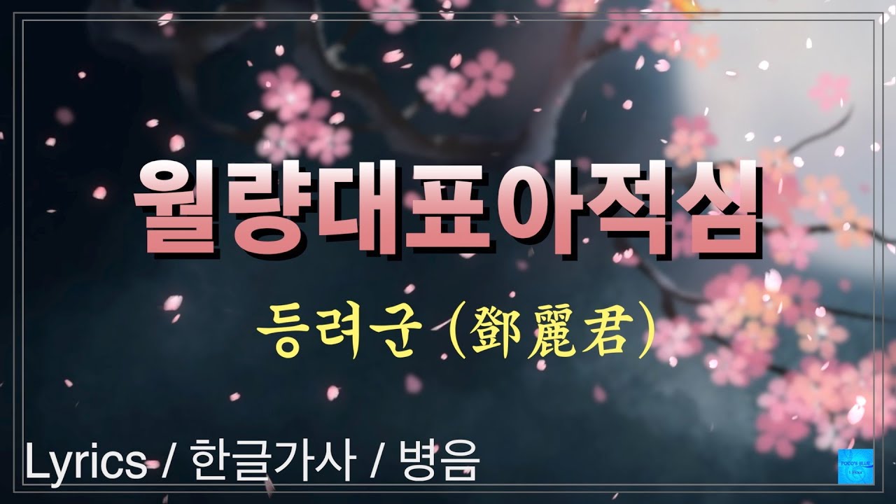 월량대표아적심(등려군) 가사해석 #중국어_한글발음표기 #병음표기