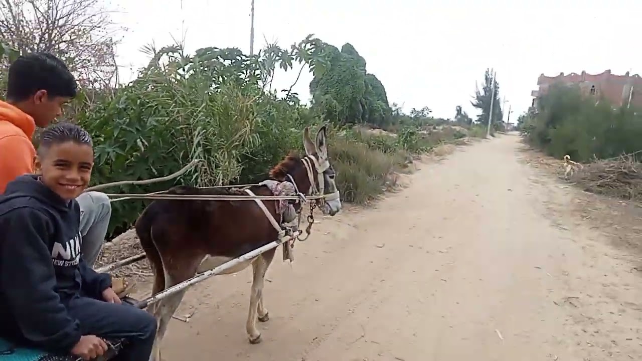 رحله عند الحبايب 🥰
