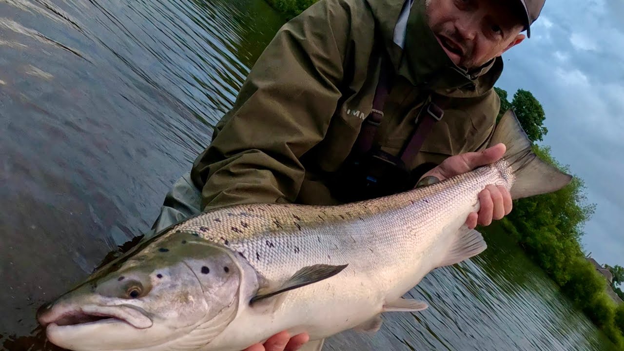 River Tweed Salmon Fishing