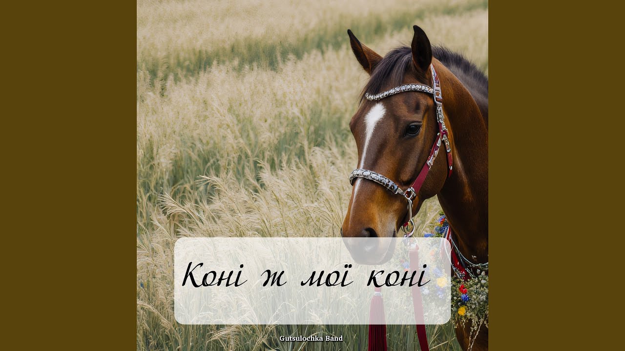 Коні ж мої коні