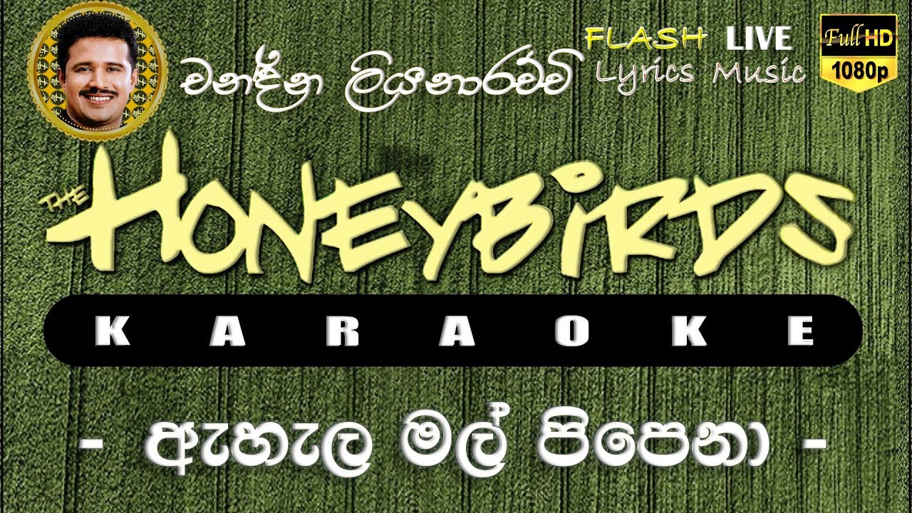Ahala Mal Pipena Karaoke (Without Voice) ඇහැල මල් ‍පිපෙනා කැරෝකේ