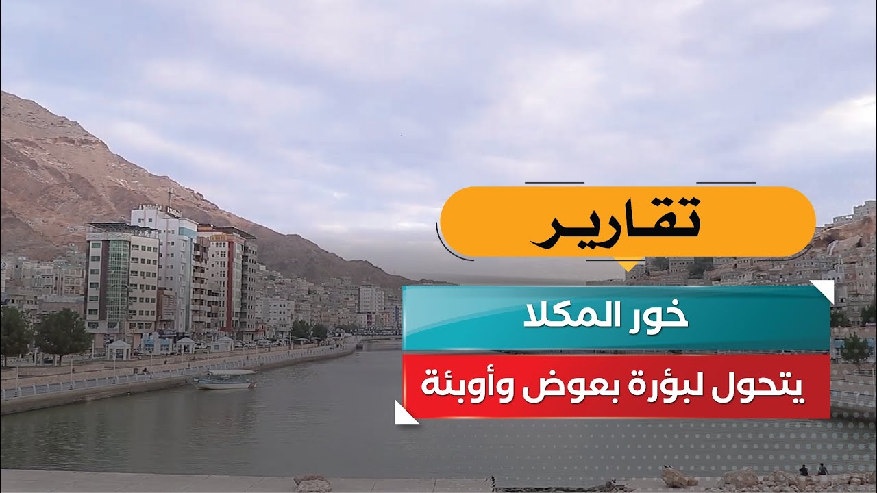 خور المكلا يتحول لبؤرة بعوض وأوبئة!