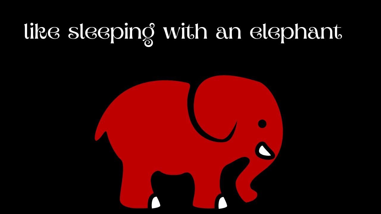 The Elephant Next Door