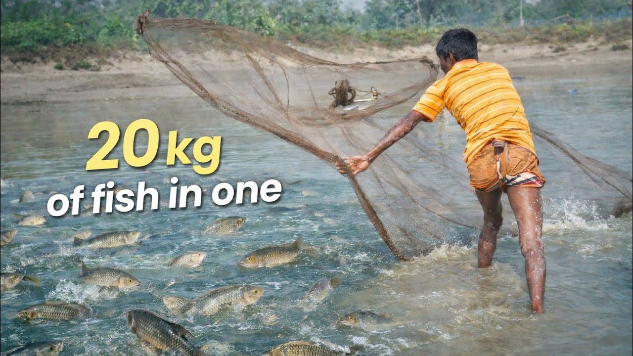 এক জালে ২০ কেজি মাছ! 😱 বিশাল পুকুর | গ্রামের পুকুরের  মাছ ধরা।