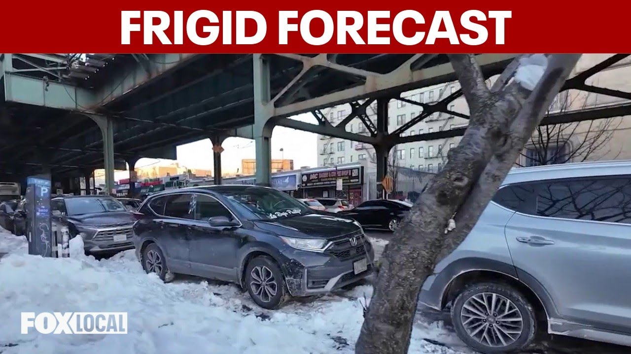 Extreme cold warning, ice rescue training and protecting your pets | Good Day Weekend