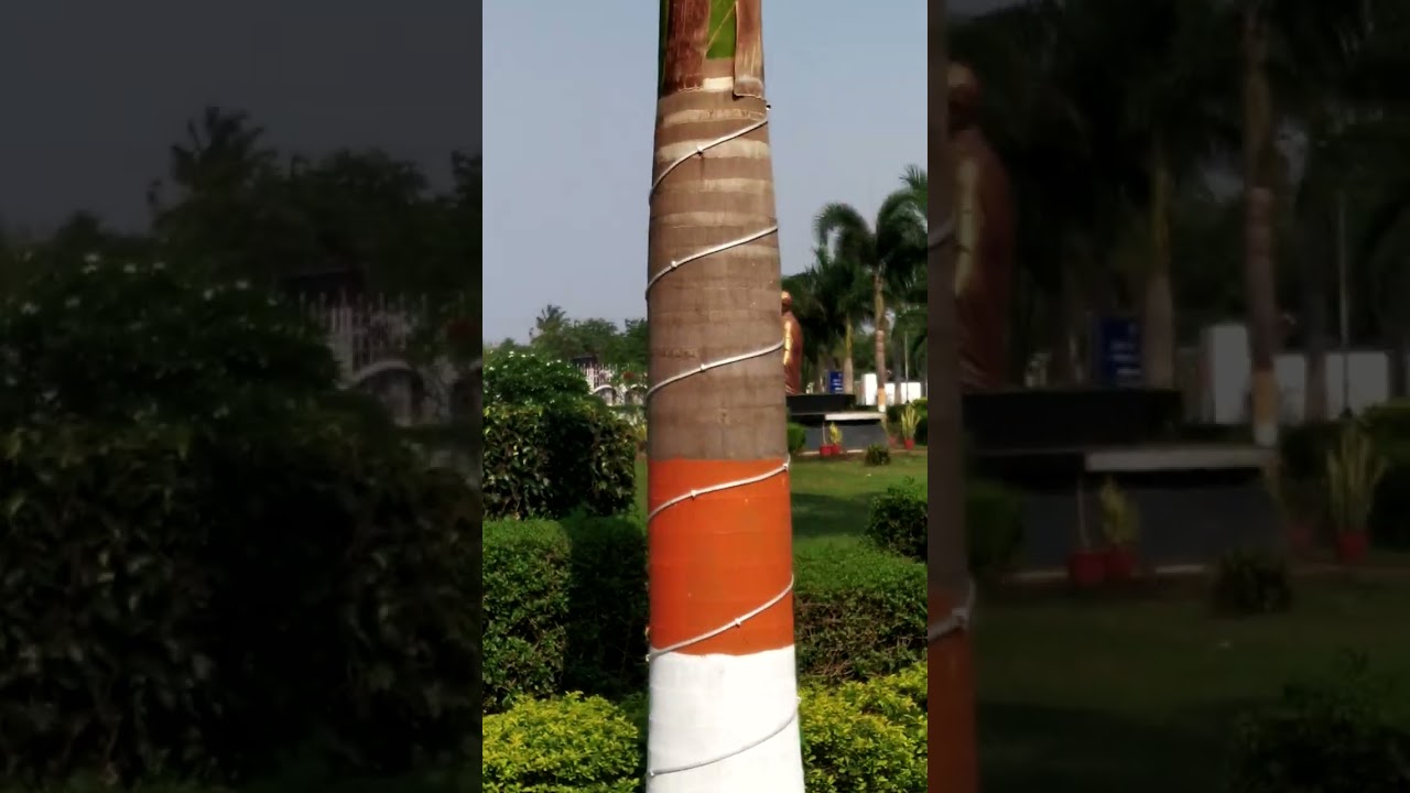 BCA College
