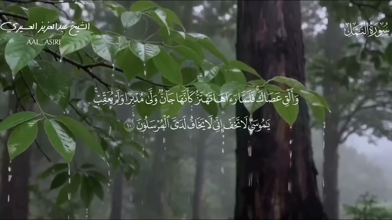ايات من ما تيسر من سورة النمل للشيخ عبدالعزيز العسيري