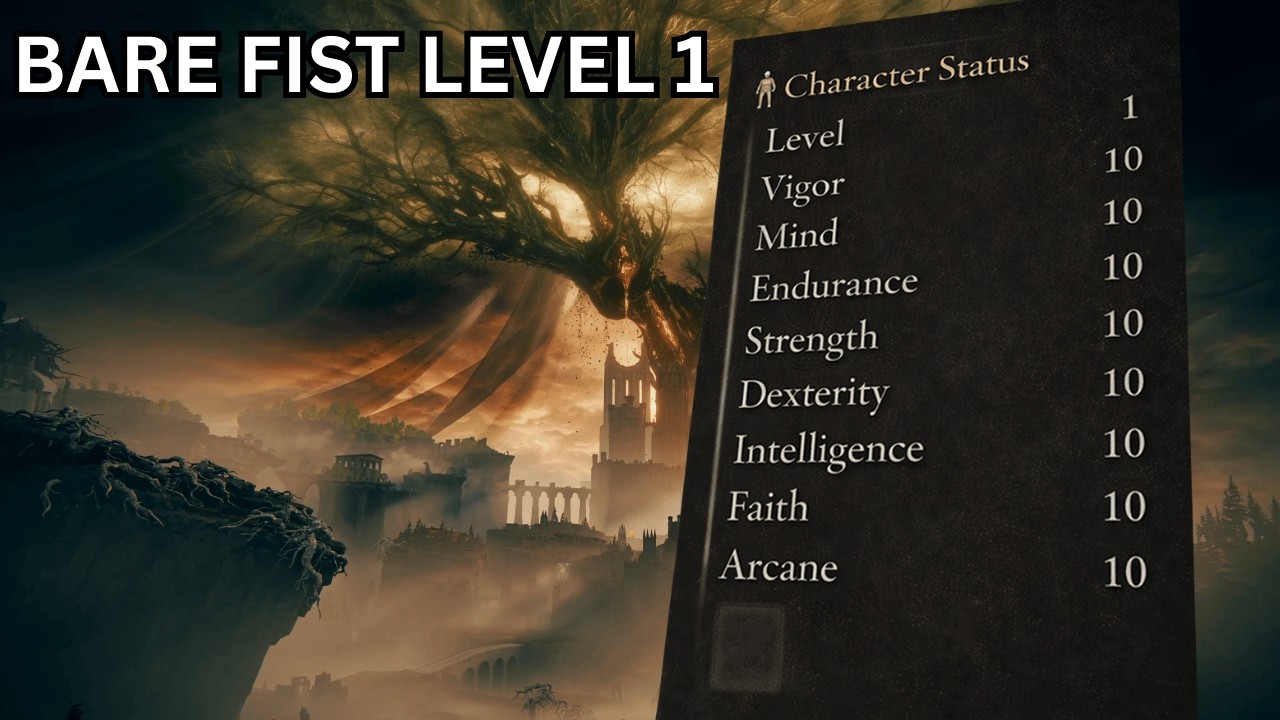 Bare Fist Level 1 Run (seriously)