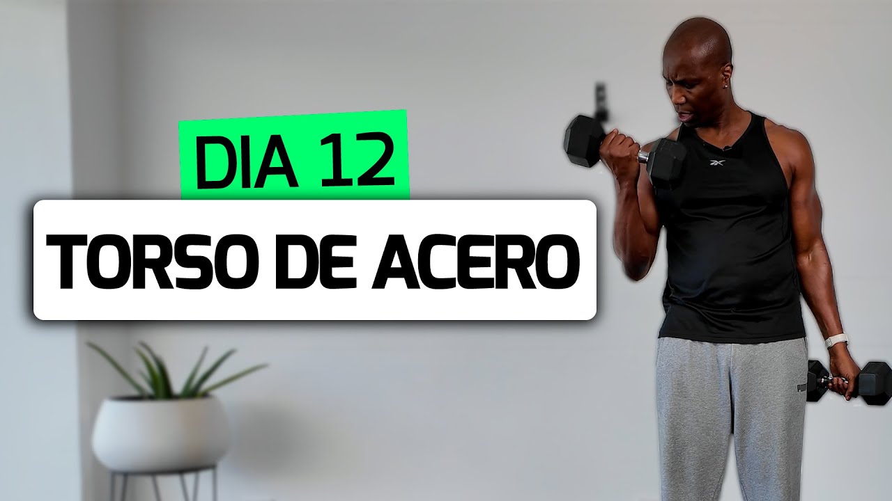 DIA 12 | Upper Body WORKOUT 
