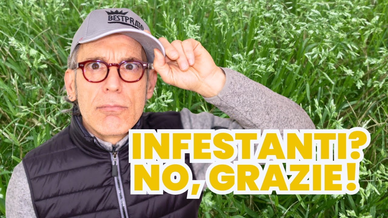 STRATEGIE NATURALI CONTRO LE INFESTANTI DEL PRATO