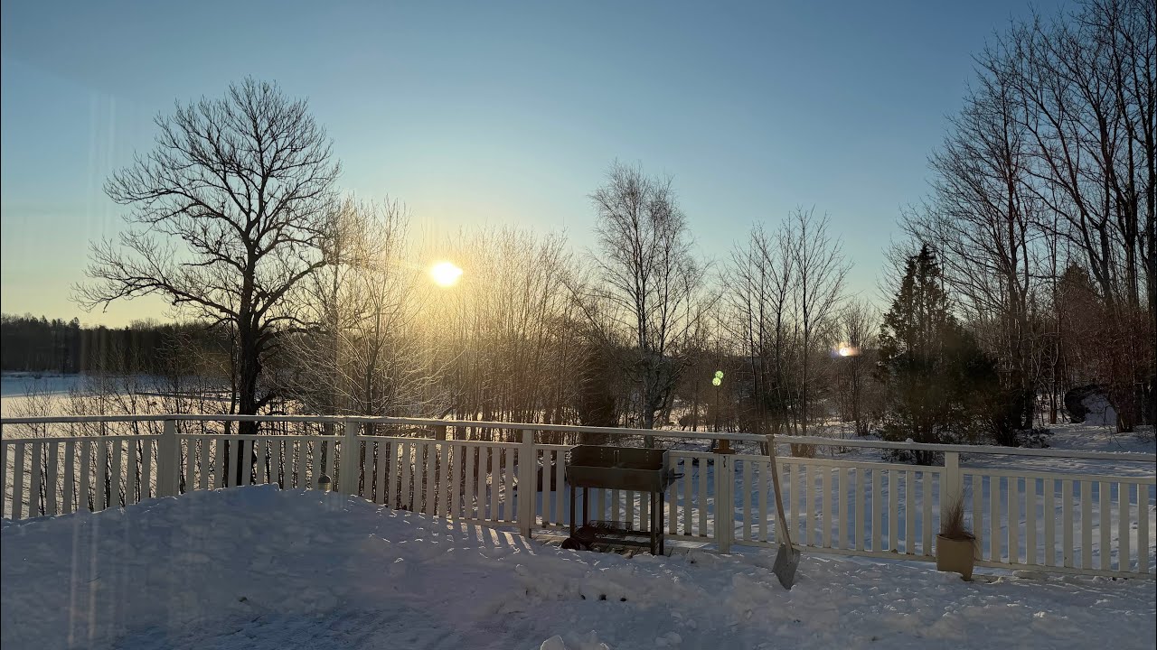 Good Morning From Väddö Sweden live!