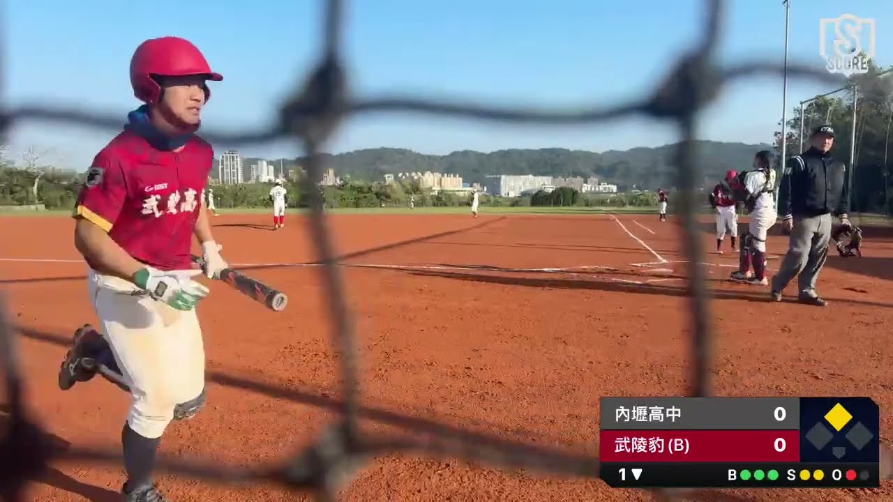 武陵豹對內壢