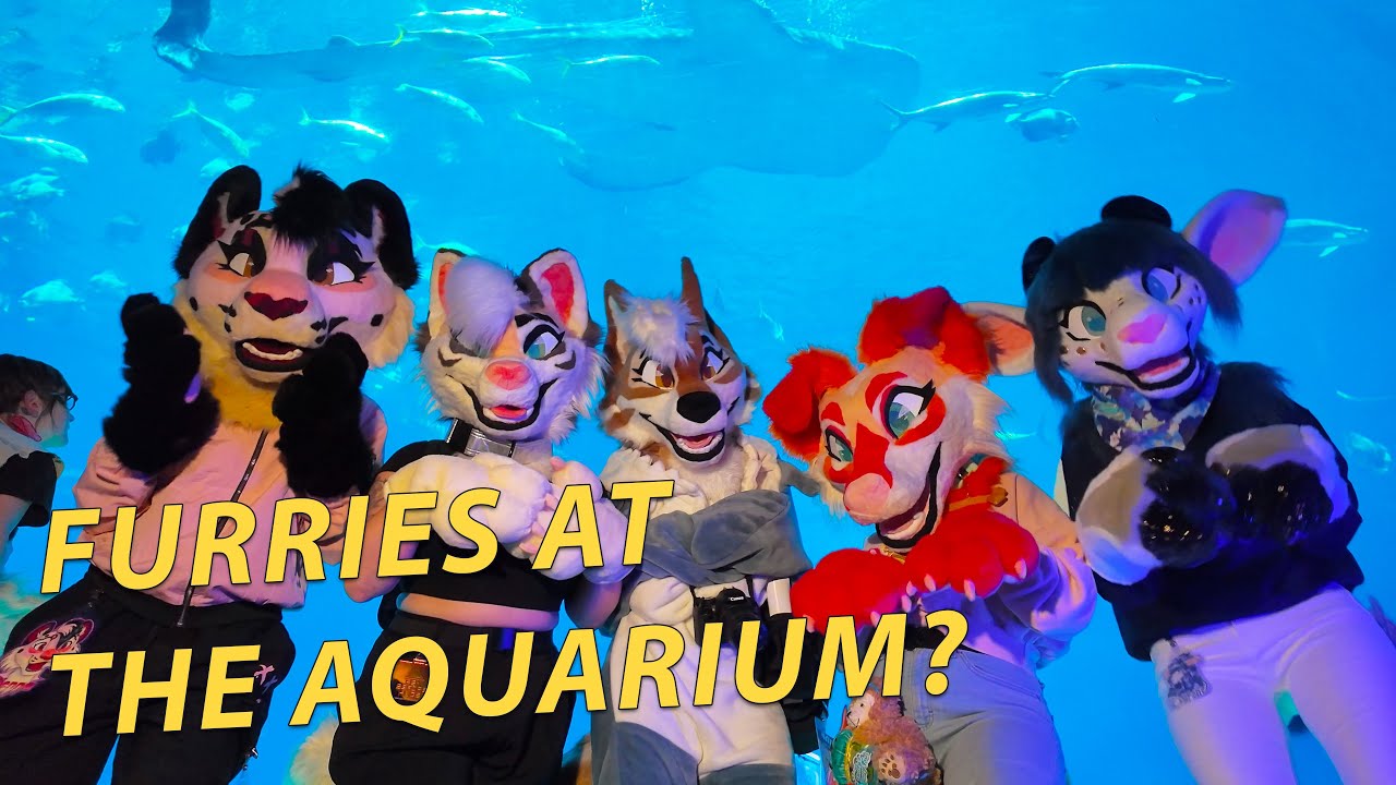 #fursuiting in America's LARGEST #aquarium - Arctic's #furry Weekend #atlanta 2025 Experience!