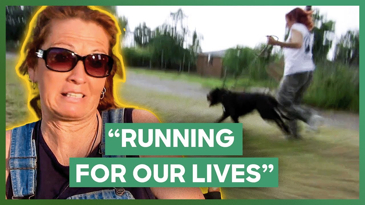 Tia Rescues A Dog In A THUNDERSTORM! | Pit Bulls & Parolees