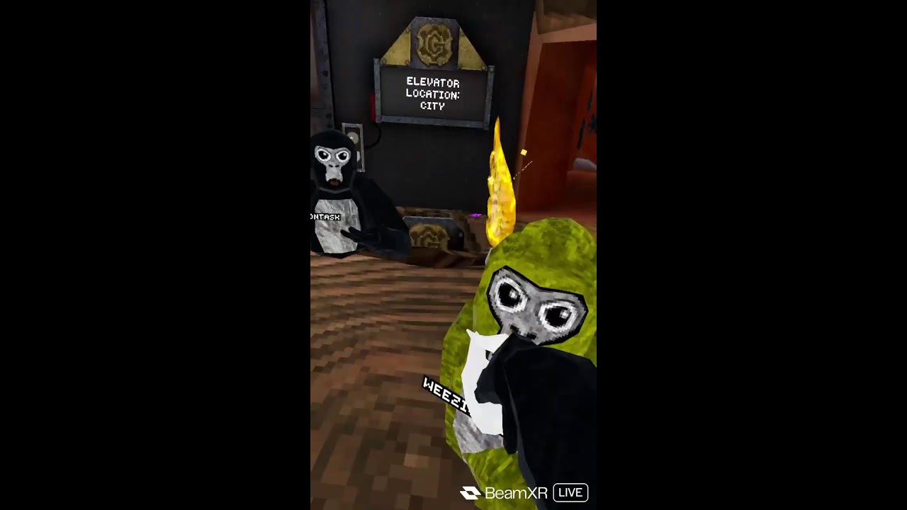 GTAG With YOU! (Code DA41)