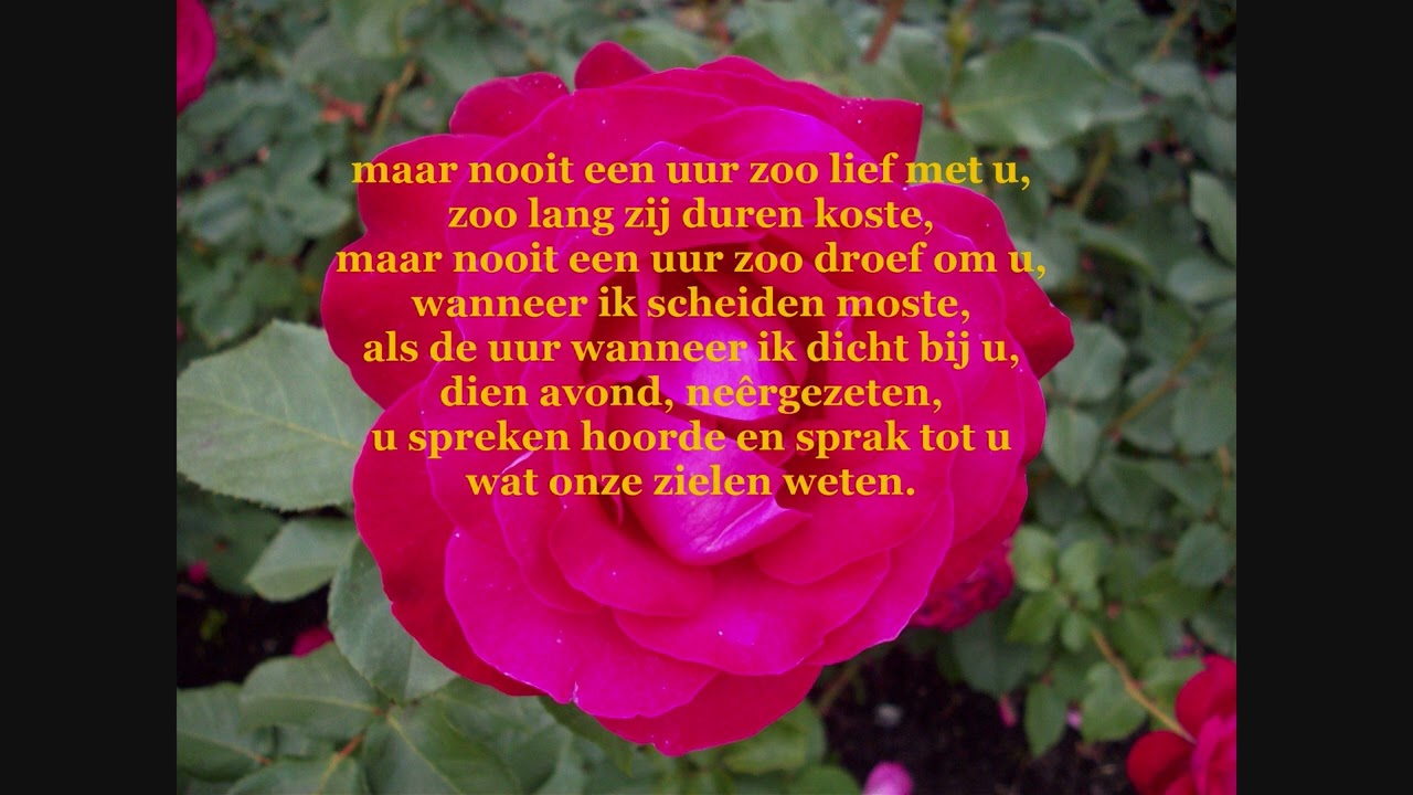 Guido Gezelle: 'Dien Avond en die Roze' door Gerard Vermeersch  (1968) (VERBETERDE GELUIDSKWALITEIT)