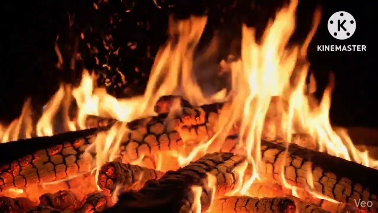 🔥 place with burning woods! Firecamp crackling peaceful sound 