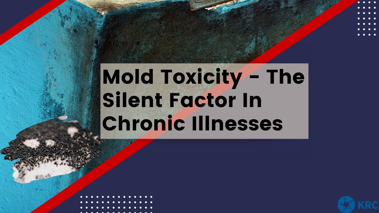 Mold toxicity — The Silent Factor In Chronic Illness