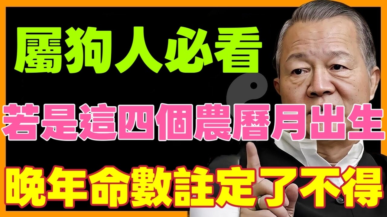 屬狗人必看！若是這4個農曆月出生，晚年可是 “了不得”！快對照看看你家有嗎？ #運勢 #十二属相 #生肖 #補財庫旺財氣 #財富 #分享#曾仕強 #易经 #财运